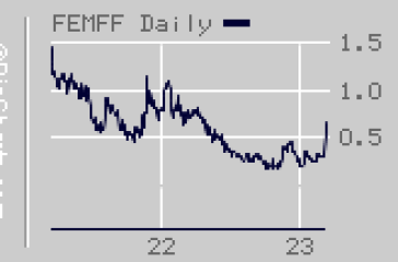 FEMFF Stock