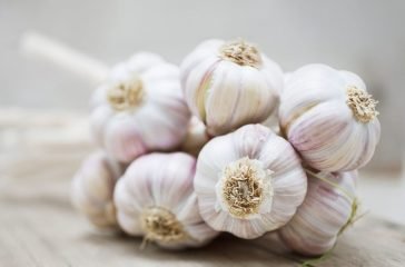 Garlic